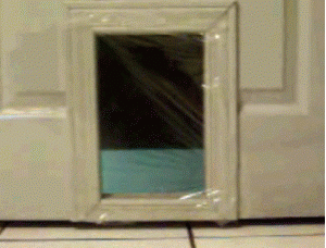 cat_vs_catdoor.gif