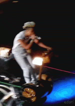 gd-segway1.gif