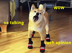 doge-such-opinon.gif