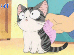 keep-stroking-anime-cat.gif