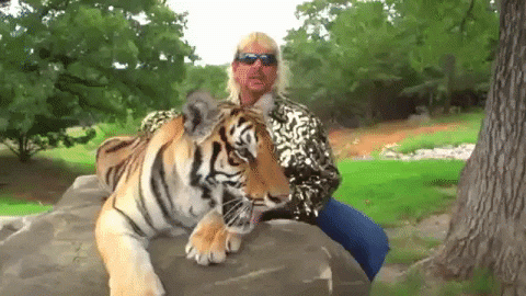 tiger-king-with-tiger.gif