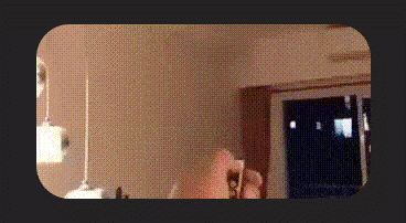 gif01-min.gif