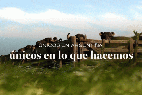 portada_gif_news_nuestro_01_1.gif