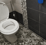 20220120_000541.gif